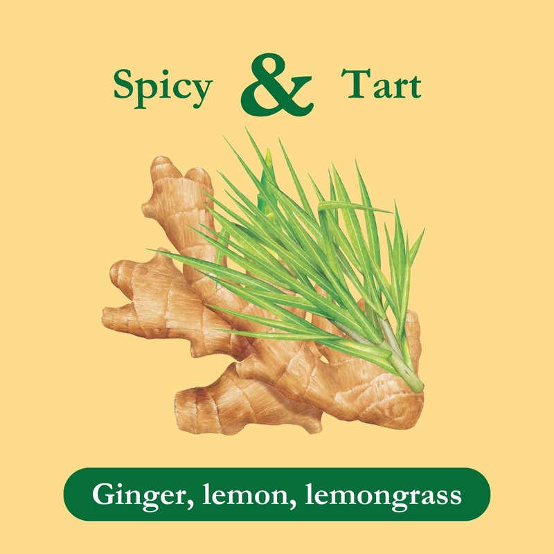 Tadin Lemon Ginger Tea, Herbal Tea, Caffeine Free, 24 Tea
