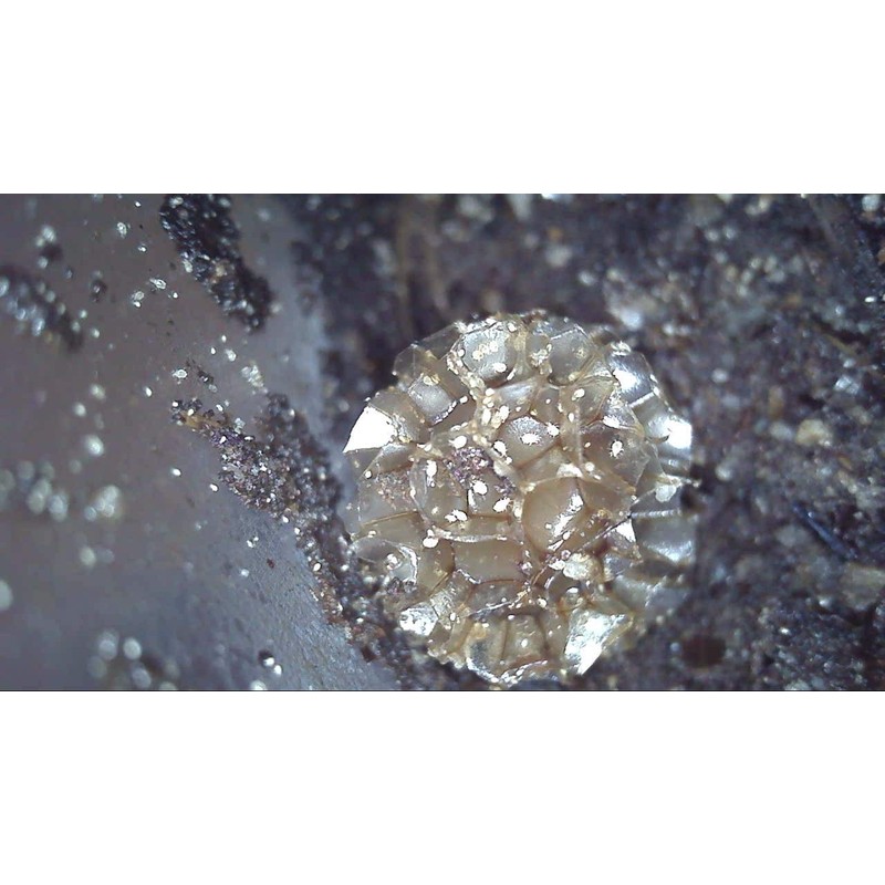 Johnny Down the Hill Mini Set