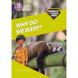 Shinoy and the Chaos Crew: Why do we sleep?: Band 08/Purple (Collins Big Cat)