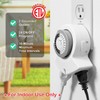 Clear Power 2-Outlet Indoor 24 Hour Mechanical Timer with Outdoor