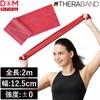 D&amp;M Thera Band Thera Band 12.5cm x 2m Red Color