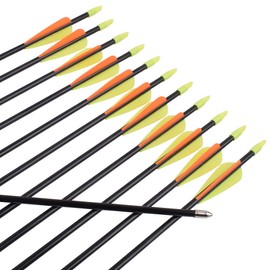 Practice Fiberglass Arrows Archery 30 Inch Target Shooting Safetyglass Recurve Bows Suitable for Youth Children Woman Beginner 6PCS Pack