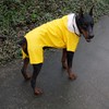 Four-Legged Full Coverage Waterproof Dog Raincoat with Reflective Features Pet