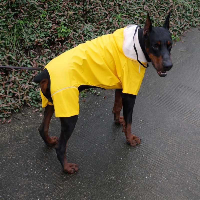Four-Legged Full Coverage Waterproof Dog Raincoat with Reflective Features Pet