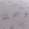 Dreams & Drapes - White Lavender King Fitted Sheet (200