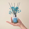 Airkeep Reed Diffuser Set,3.38 fl oz (100 ml) - Ocean