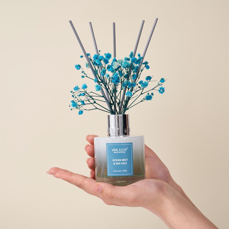 Airkeep Reed Diffuser Set,3.38 fl oz (100 ml) - Ocean