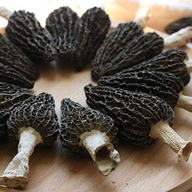 Jumbo Dried Morel Morchella Mushroom Crop Top Grade Premium Quality 100g (3.5oz)