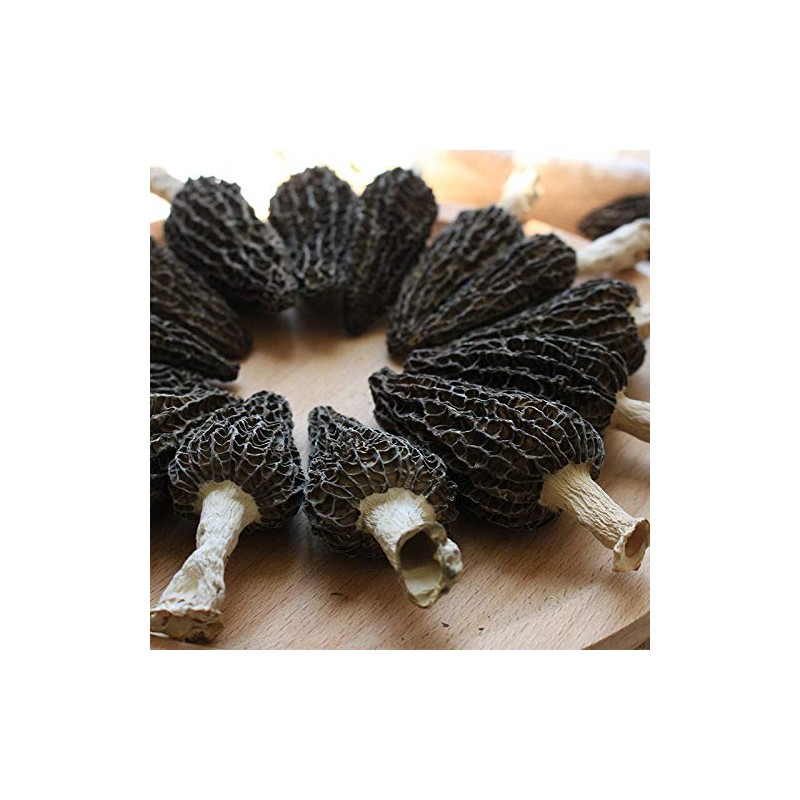 Jumbo Dried Morel Morchella Mushroom Crop Top Grade Premium Quality