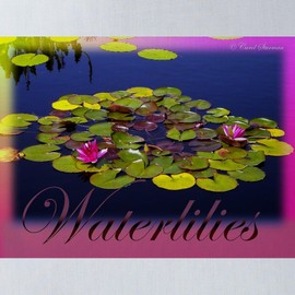 CafePress Water Lilies 18"x18" Reusable Grocery Shopping Sling Tote Bag