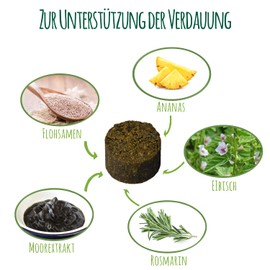 Schnüffelfreunde Grasfresser Drops für Hunde I bei Fressen von Gras und KOT I unterstützt einen ausgeglichenen Magen-Darm-Trakt beim Hund I mit Eibisch, Moorextrakt, Flohsamen (150g - ca. 180 Stück)