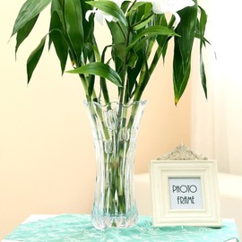 Slymeay Flower Vase Tulips Pattern Large Size Glass Thickening Design Home Decor,Wedding vase or Gift - 9.4" High x4.9 Wide,Clear,with Color Box