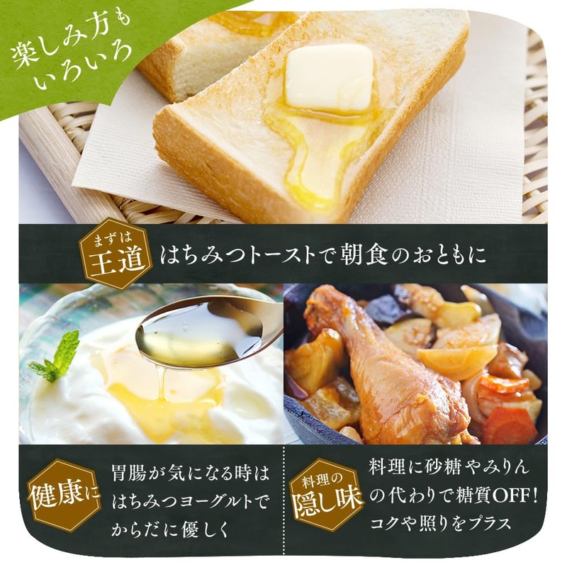 Kanazawa Yamagishi Apiary Aichi Akashia 17.6 oz (500 g) Pure