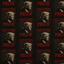 Convicted Felon Trump Premium Kraft Roll Gift Wrap Wrapping Paper