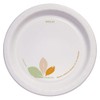 Cup 8-1/2" Paper Dinnerware Plates