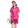 Ammiko Pajamas Satin Pajama Set Silk Pjs Button-Up Top and