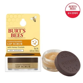 Burt's Bees Conditioning Lip Scrub / 버츠비 컨디셔닝 립 스크럽