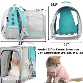 Lollimeow Cat Carrier Backpack, Bubble Expandable Backpack Carrier, Pets and Small Dogs,Airline-Approved, Designed for Travel, Hiking, Walking & Outdoor Use (Square Expandable-Green)