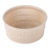 Salad Spinner Fruit Vegetable Dryer Strainer Sifter Manual Vegetables Rice