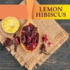 Constellation Tea Lemon Hibiscus Tea Pods Compatible with K Cup
