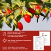 Shengmingxi Goji Berries 14.1OZ/400g Wolfberry Special Grade Goji Berry Dried