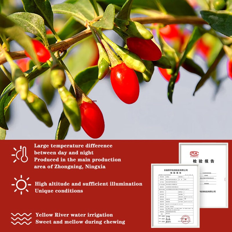 Shengmingxi Goji Berries 14.1OZ/400g Wolfberry Special Grade Goji Berry Dried