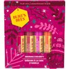 Burt's Bees Burt's Bees Lip Balm Gift Set, Lip Balm