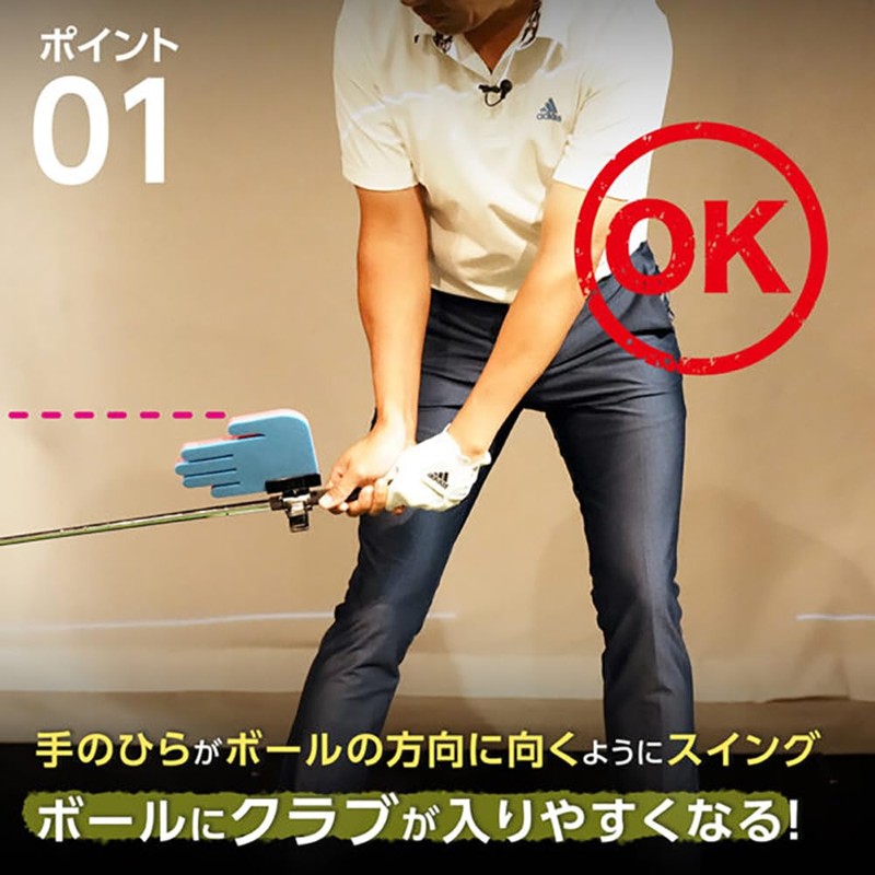 DAIYA GOLF TR-5004 Diamond PRO AI Hand Swing Practice Equipment,