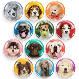 X-bet MAGNET Glass Refrigerator Magnets – Adorable Kitchen and Office Decor – Floral and Fun Whiteboard Magnets for Home and Locker