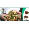 Gourmet Organic Cloves from Zanzibar 2024 Season - 50 Grams