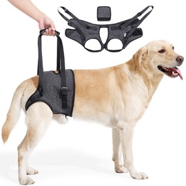 Rehabilitation Dog Mobility Belt, Elderly Pet Support Wrap, Canine Assistance Harness, Detachable Handles & Breathable Mesh, for Elderly/Injured Pets (M Size)
