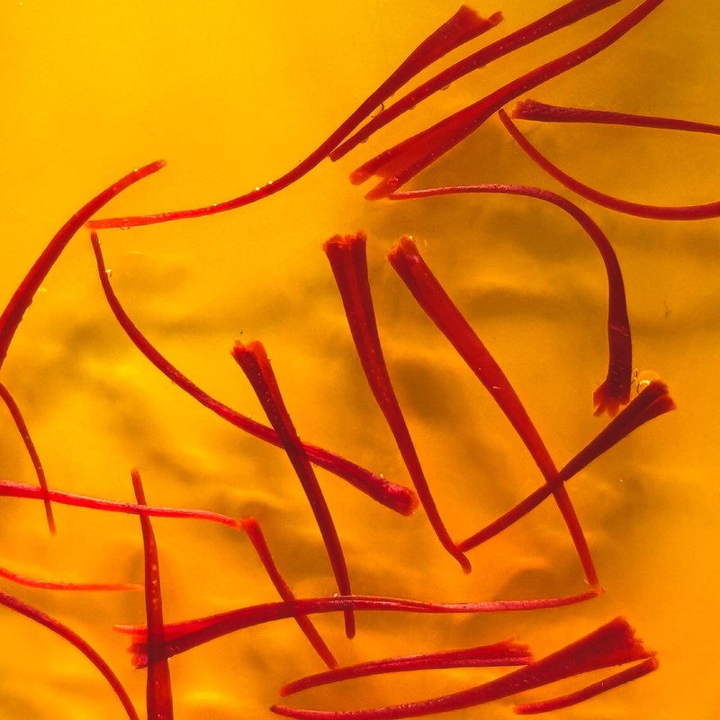 Zarina Saffron Threads – Premium Grade A+ | Handpicked &