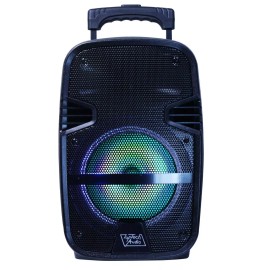 Top Tech Fully Amplified Portable 1600 Watts Peak Power 8” Speaker w/ LED & Mic - Black