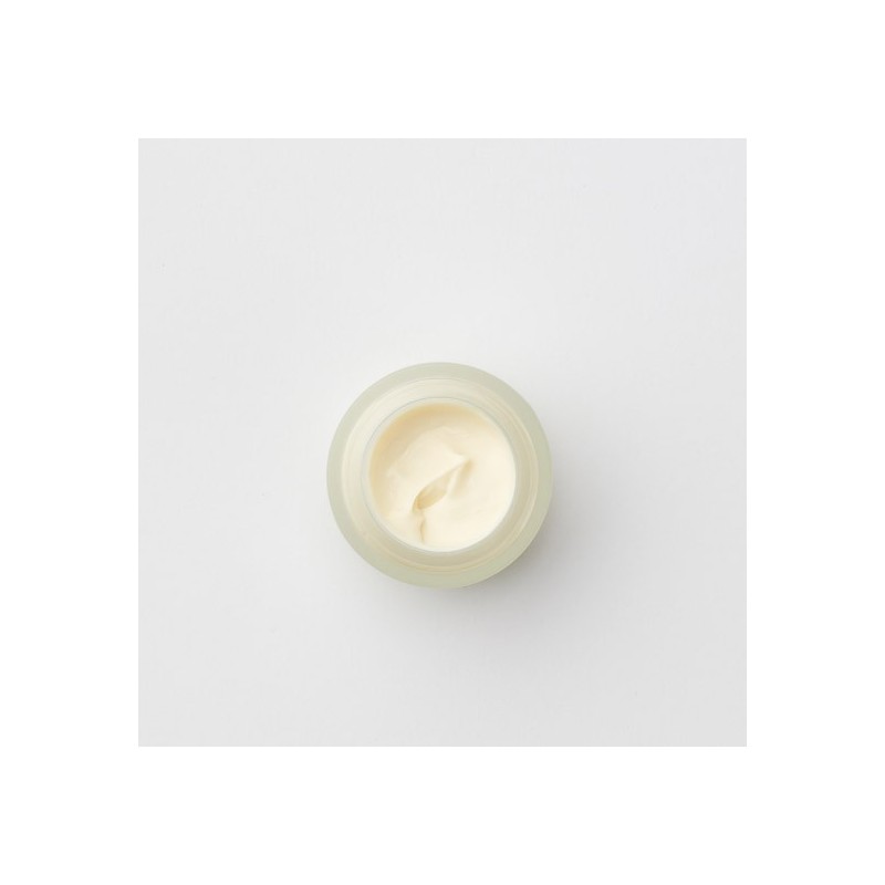 Carol Priest Evening Primrose & Geranium Eye Cream 15g /