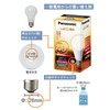 Panasonic LED Bulb