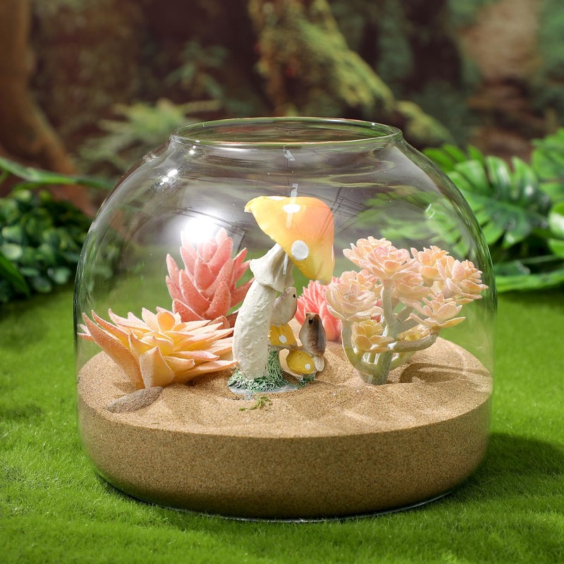 Cork Glass Bottle Container Tabletop Circle Vase Lid Plant Betta