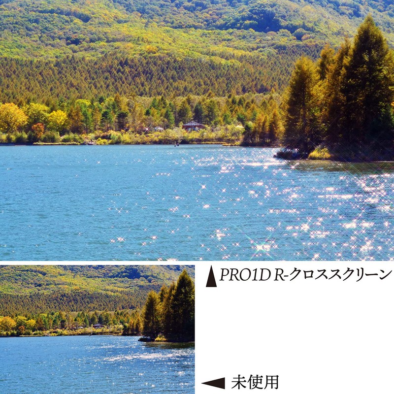 Kenko 52mm PRO1D R-Cross