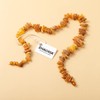 Amber Collar for Dogs and Cats - 100% Natural Baltic