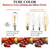 LiteHistory Dimmable T6 led Bulb 25W Candelabra led 2700K Clear