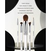 EIGSHOW 5 Pcs Eye Makeup Brush Set, Everyday Eye Essential