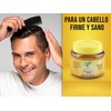 Gel Fijador de Cabello Árbol Verde | A Base de