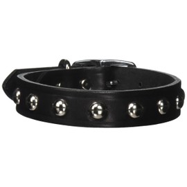 OmniPet Leather Brothers 1 x 20-Inch Regular Studded Latigo Leather Dog Collar