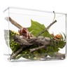 My Living World LW007 Interplay Snail World, Single, Mixed