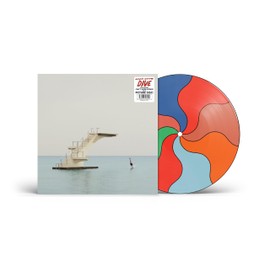 DIVE[Picture Disc LP] [Vinyl LP]
