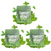 LAMKHOO 3 Packs of Plant-Based Spearmint Flavor Cores for Breathing