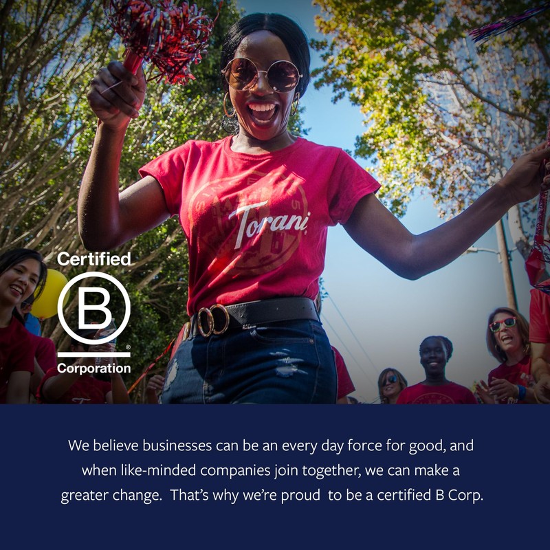 Torani Puremade Sauce, Pumpkin Pie, 16.5 Ounces (Pack of 4)