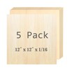 Cassny Unfinished Wood Pieces,5 Pack Basswood Sheets12 x12 x 1/16,Basswood Plywood Wood Sheets for Crafts,Perfect for Painting,Drawing,Laser,Engraving,Burning and CNC Cutting (5pack 12 x12 x 1/16)