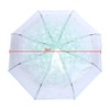 36 Inch Transparent Clear Folding Umbrella with Cherry Blossom for