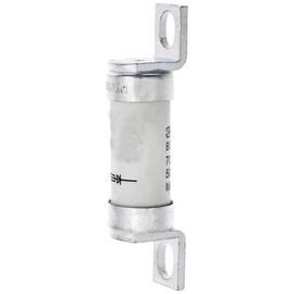 1 fusible tipo T 100FE (100 FEa) 100 A, 100 A, 690 V