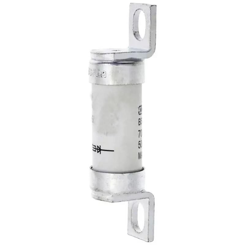 1 fusible tipo T 100FE (100 FEa) 100 A, 100